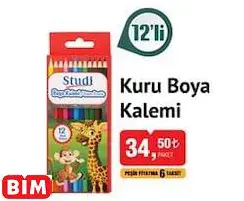 STUDİ KURU BOYA KALEMİ